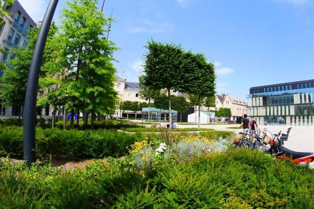 Chartres Coeur De Ville, Beau 2 Pieces Chaleureux Et Lumineux,Parking Et Wifi ! 外观 照片